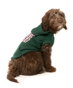 Treats Hoodie - Green