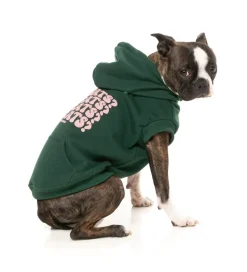 Treats Hoodie - Green