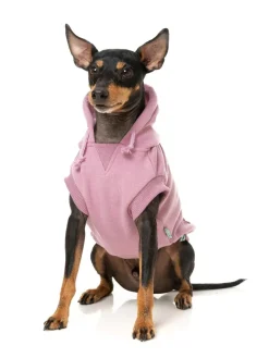 Treats Hoodie - Pink