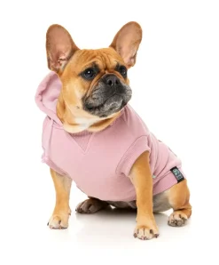 Treats Hoodie - Pink