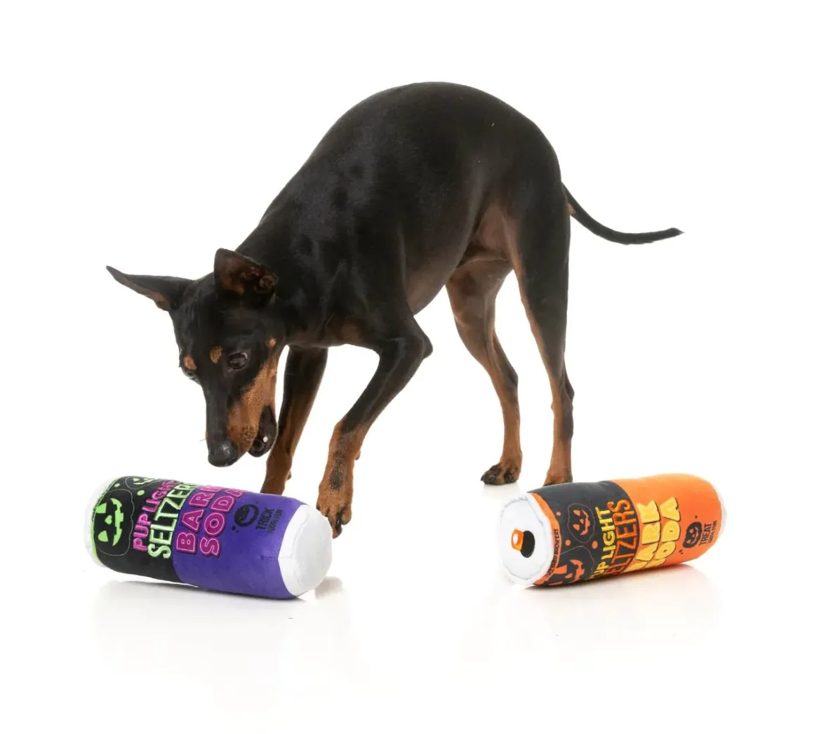 Trick or Treat Seltzers (2pk) - Dog Toy