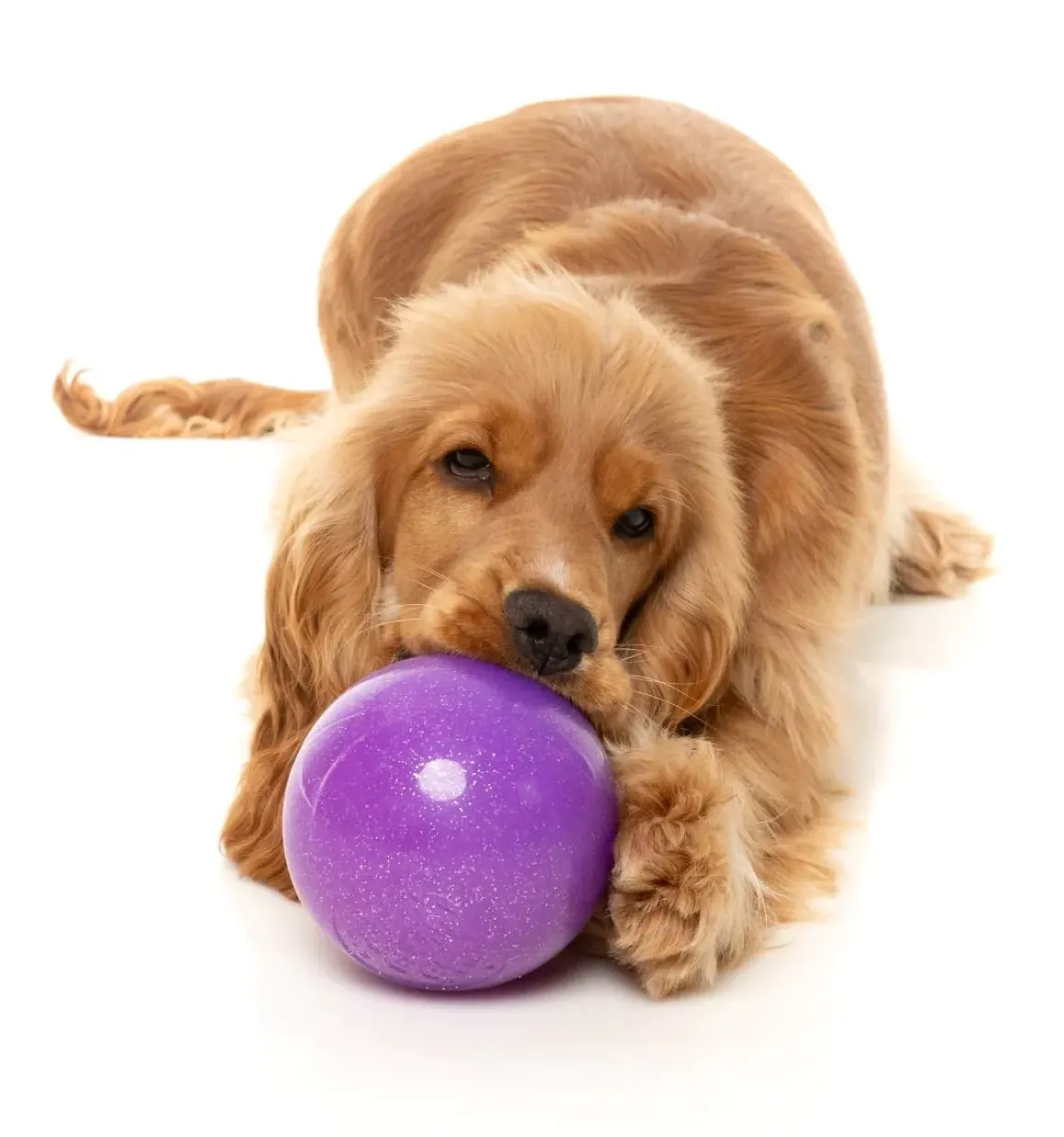 Truth Tellin' Treat Ball - Interactive Chew Toy