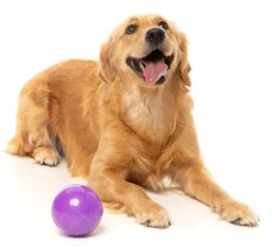 Truth Tellin' Treat Ball - Interactive Chew Toy