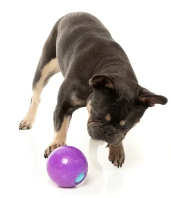 Truth Tellin' Treat Ball - Interactive Chew Toy