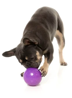Truth Tellin' Treat Ball - Interactive Chew Toy