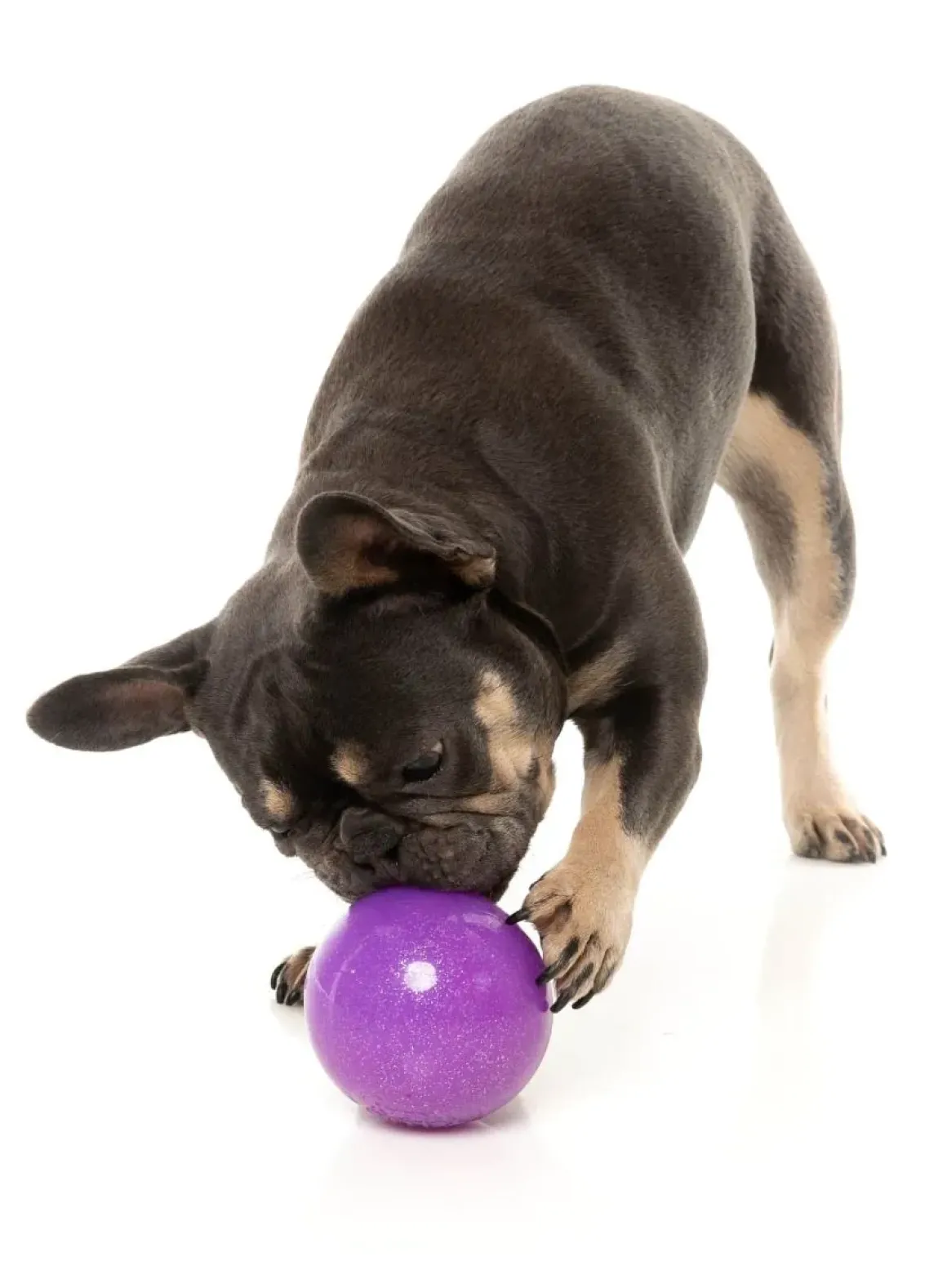 Truth Tellin' Treat Ball - Interactive Chew Toy
