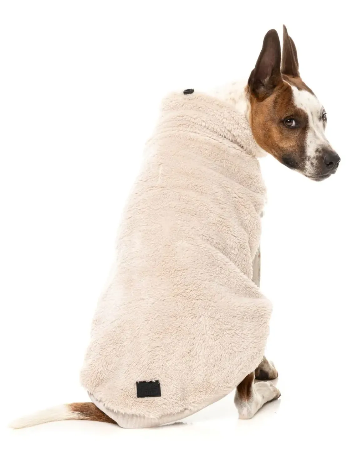 Turtle Teddy 25 Sweater - Beige