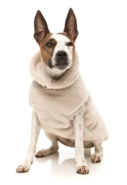 Turtle Teddy 25 Sweater - Beige