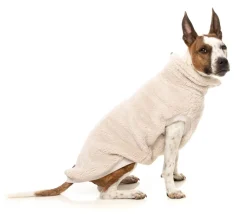 Turtle Teddy 25 Sweater - Beige