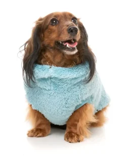 Turtle Teddy 24 Sweater - Blue