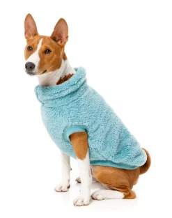 Turtle Teddy 24 Sweater - Blue