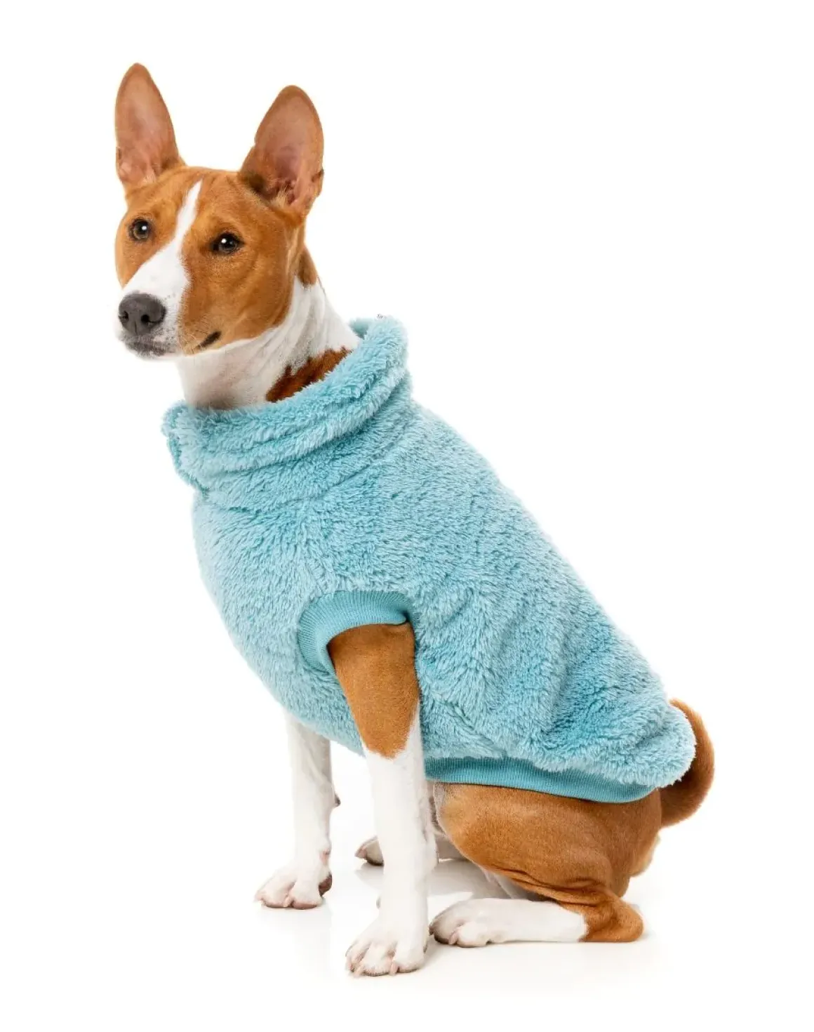 Turtle Teddy 24 Sweater - Blue