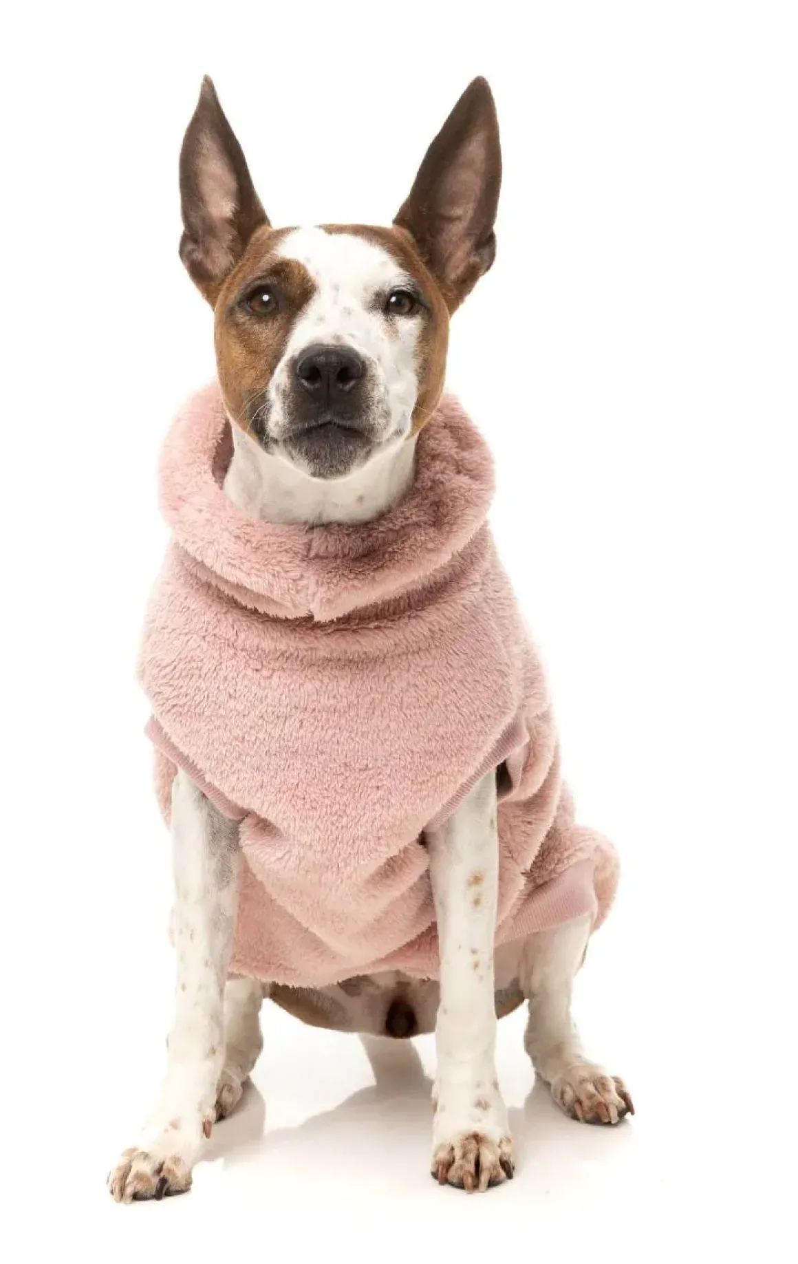 Turtle Teddy 25 Sweater - Blossom Pink