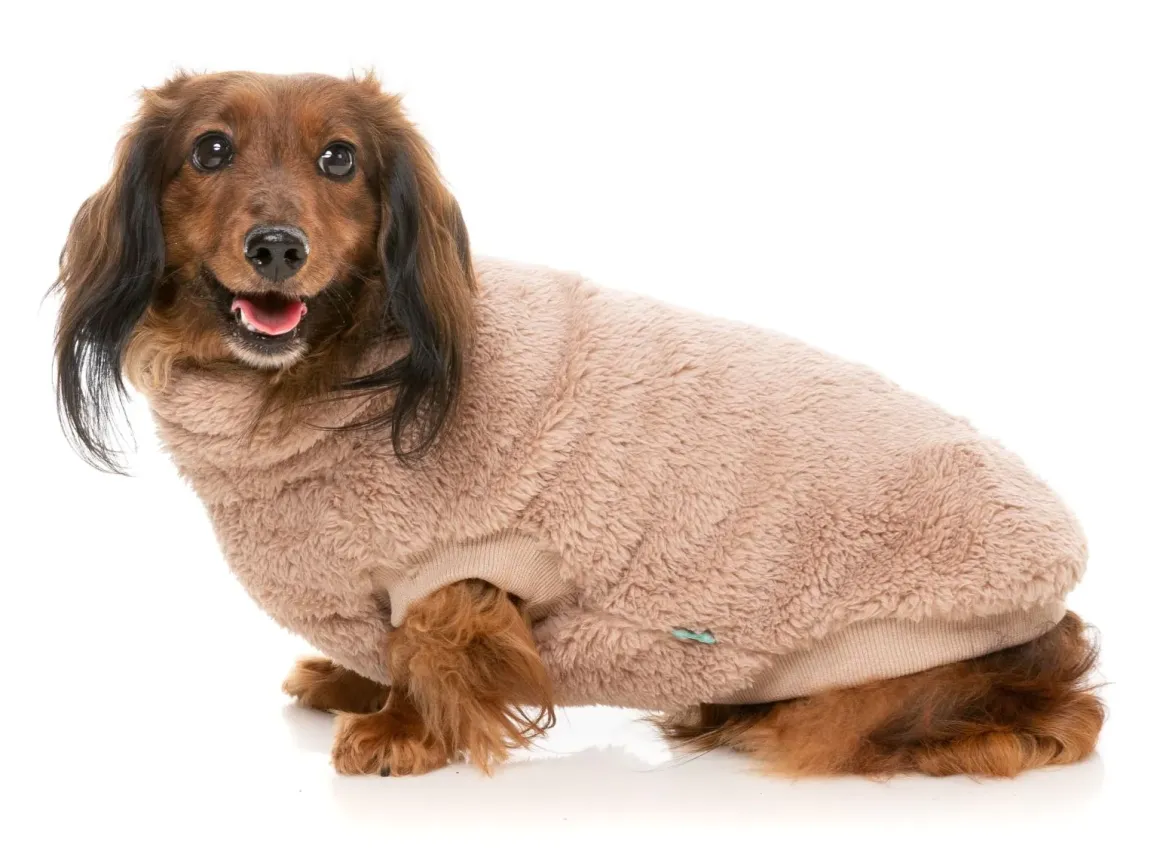 Turtle Teddy 24 Sweater - Chai