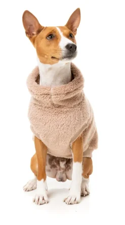 Turtle Teddy 24 Sweater - Chai