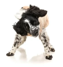 Turtle Teddy 25 Sweater - Desert Tan