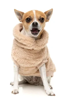 Turtle Teddy 25 Sweater - Desert Tan