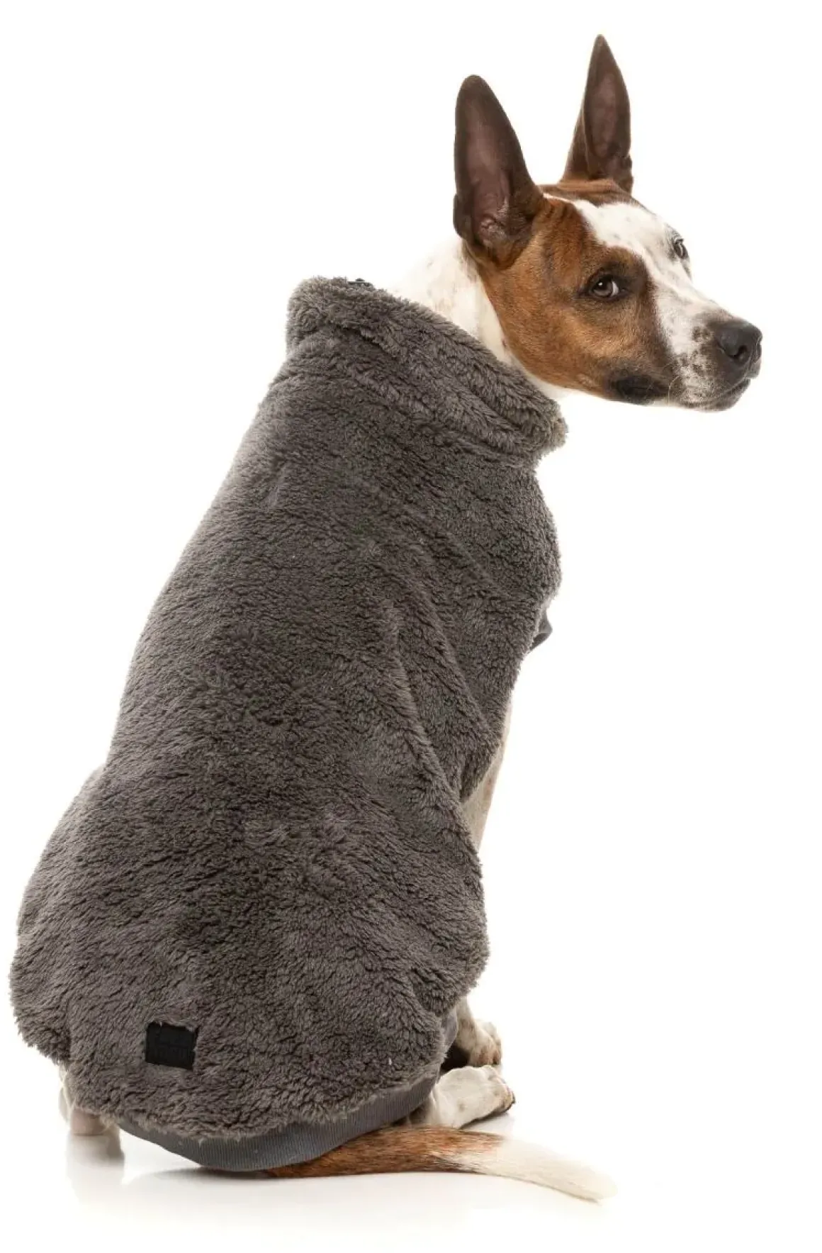 Turtle Teddy 25 Sweater - Gunmetal Grey