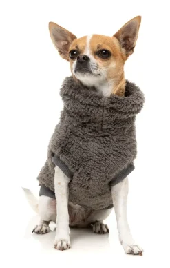 Turtle Teddy 25 Sweater - Gunmetal Grey