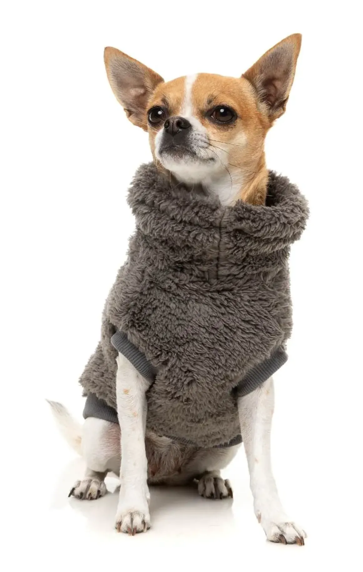 Turtle Teddy 25 Sweater - Gunmetal Grey