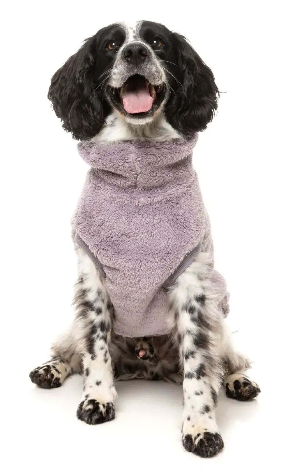 Turtle Teddy 25 Sweater - Lavender