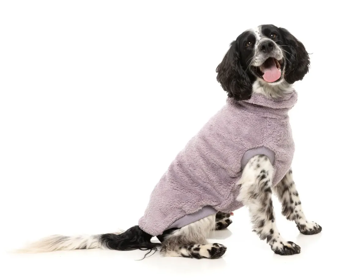 Turtle Teddy 25 Sweater - Lavender