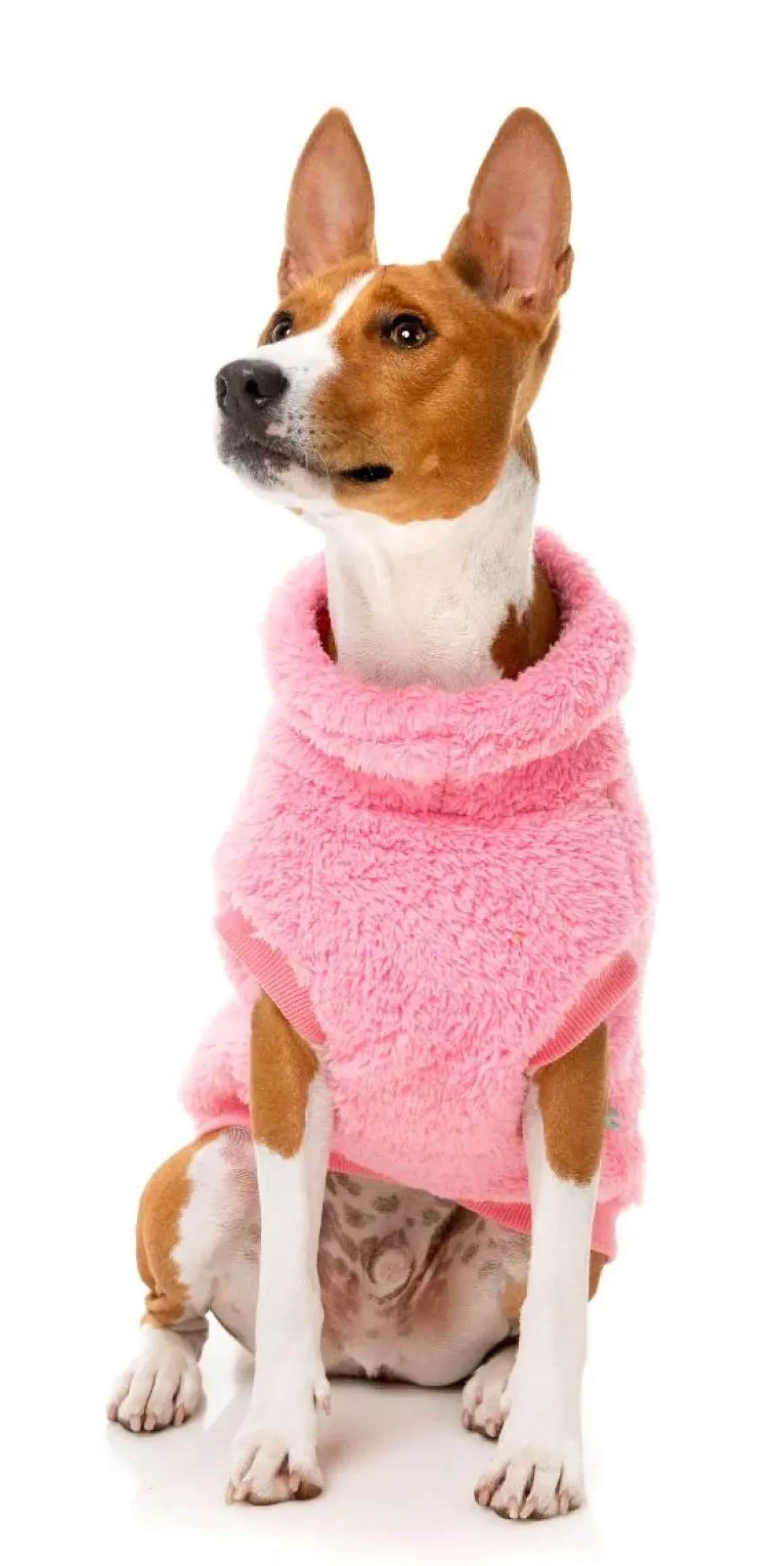 Turtle Teddy 24 Sweater - Pink