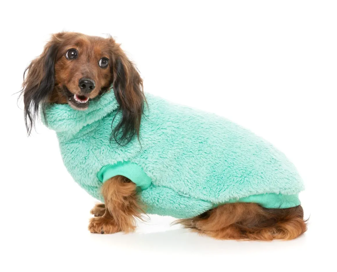 Turtle Teddy 24 Sweater - Teal