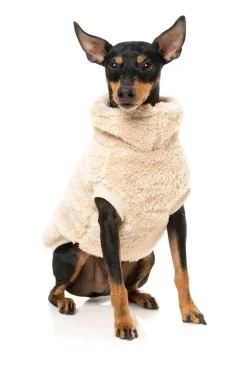 Turtle Teddy Sweater - Beige