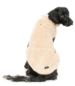 Turtle Teddy Sweater - Beige