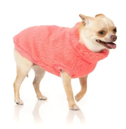 Turtle Teddy Sweater - Peach