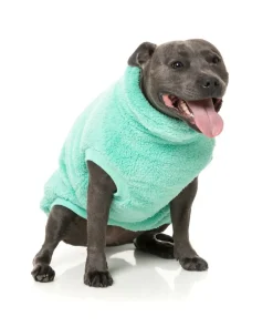 Turtle Teddy Sweater - Teal