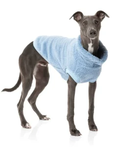 Turtle Teddy Sweater - Washed Blue