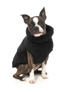 Turtle Teddy Sweater Black