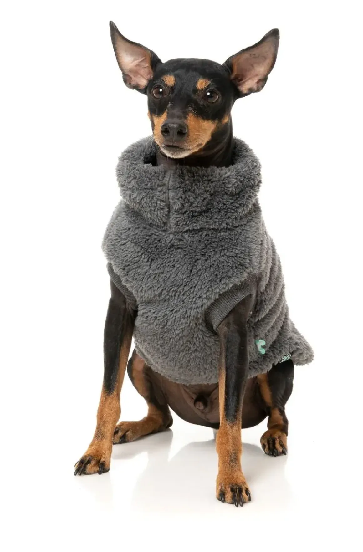 Turtle Teddy Sweater Charcoal