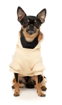 Urban Tracksuit - Buttermilk