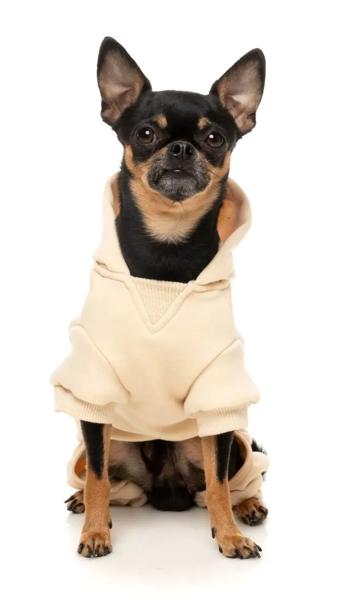 Urban Tracksuit - Buttermilk