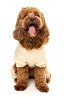 Urban Tracksuit - Buttermilk