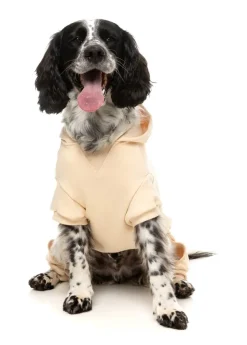 Urban Tracksuit - Buttermilk