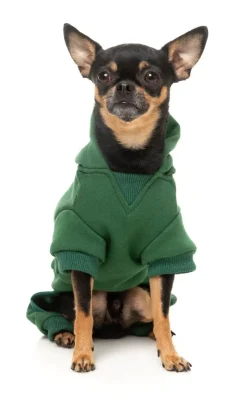 Urban Tracksuit - Green