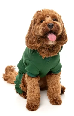 Urban Tracksuit - Green