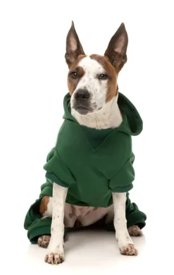 Urban Tracksuit - Green