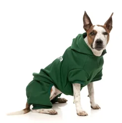 Urban Tracksuit - Green