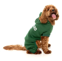 Urban Tracksuit - Green