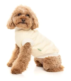 Vanilla Street Sweater