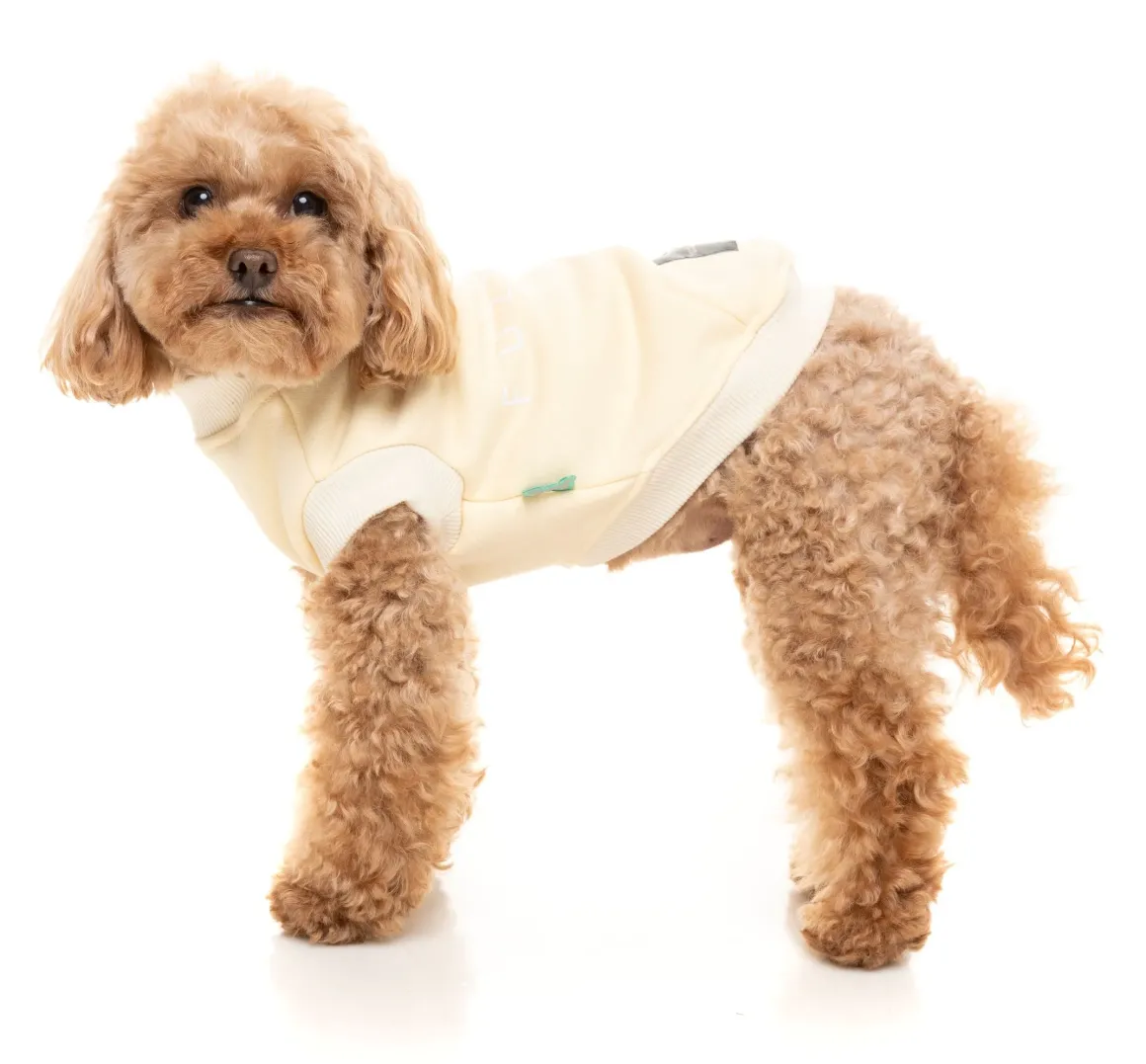 Vanilla Street Sweater