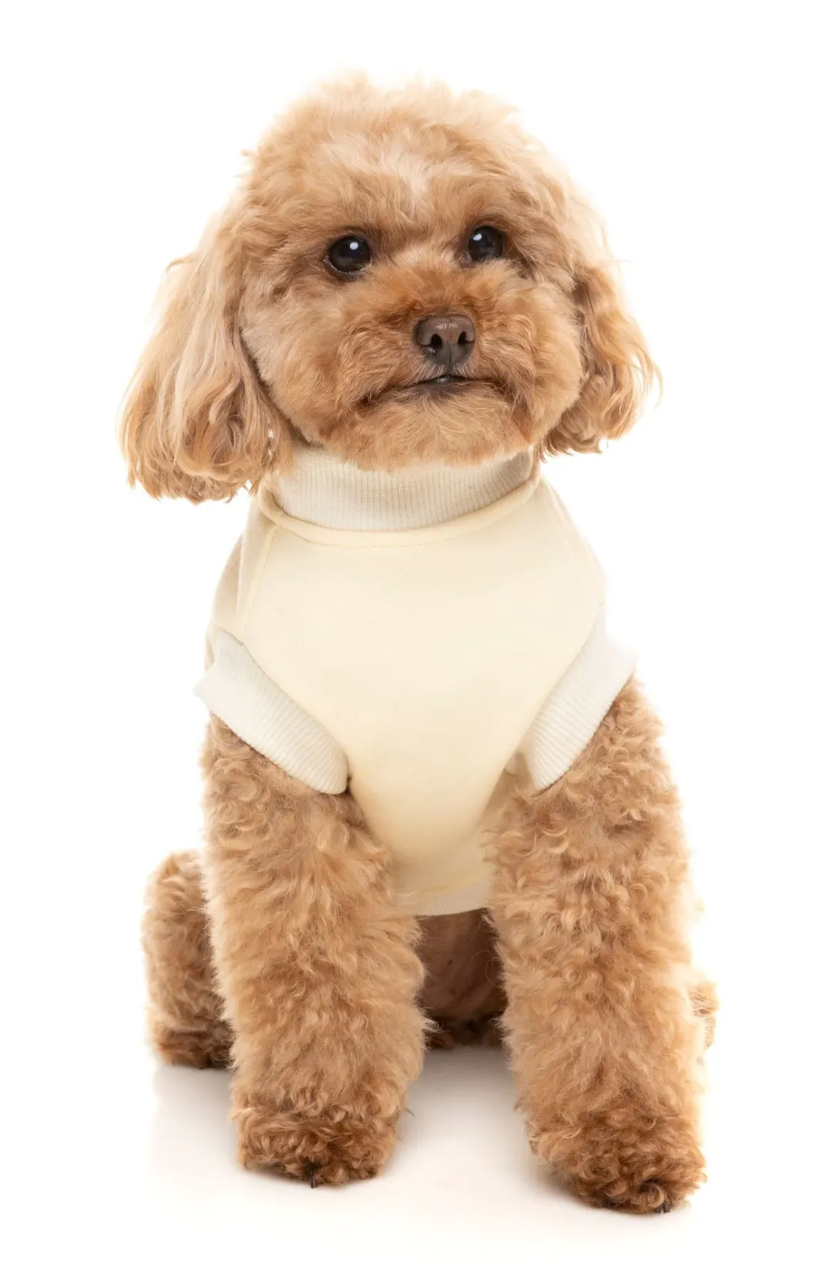 Vanilla Street Sweater