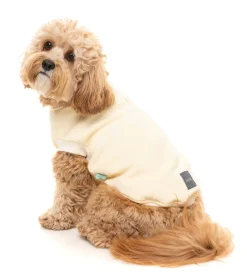 Vanilla Street Sweater