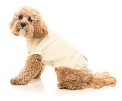 Vanilla Street Sweater