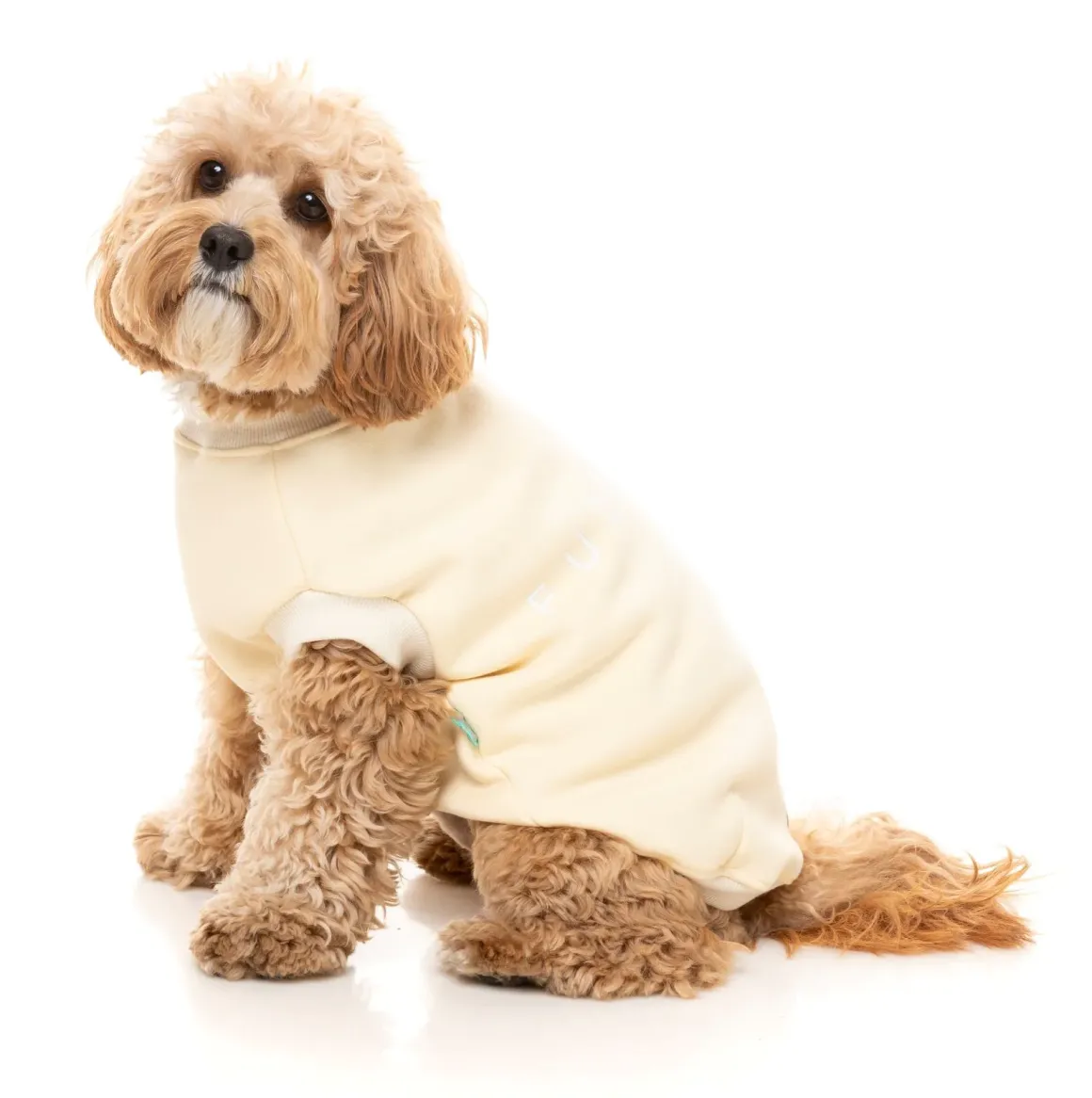 Vanilla Street Sweater